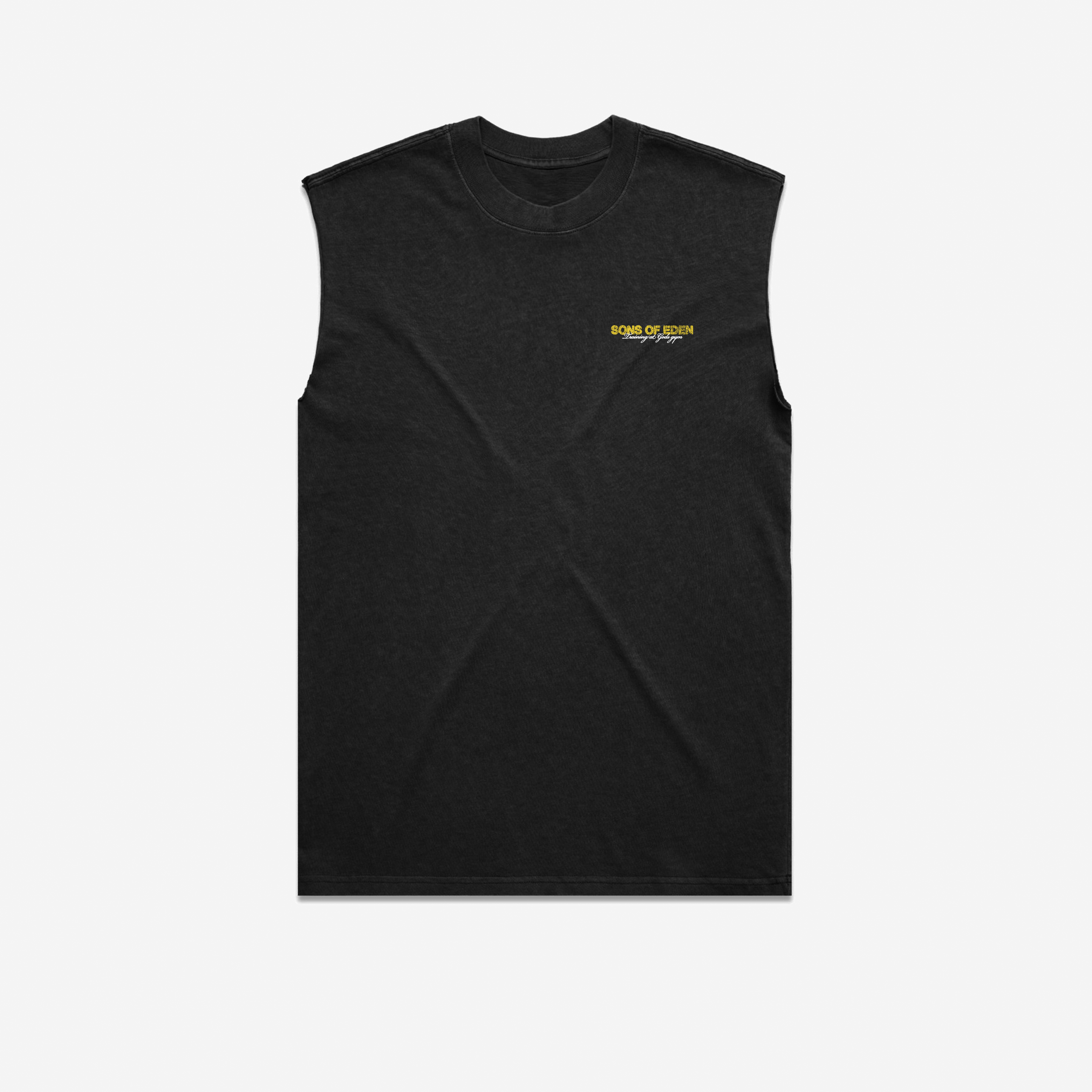Training division cut off vest