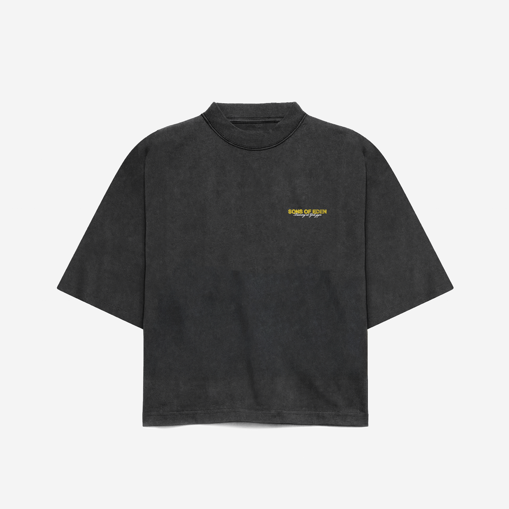 Training division vintage tee