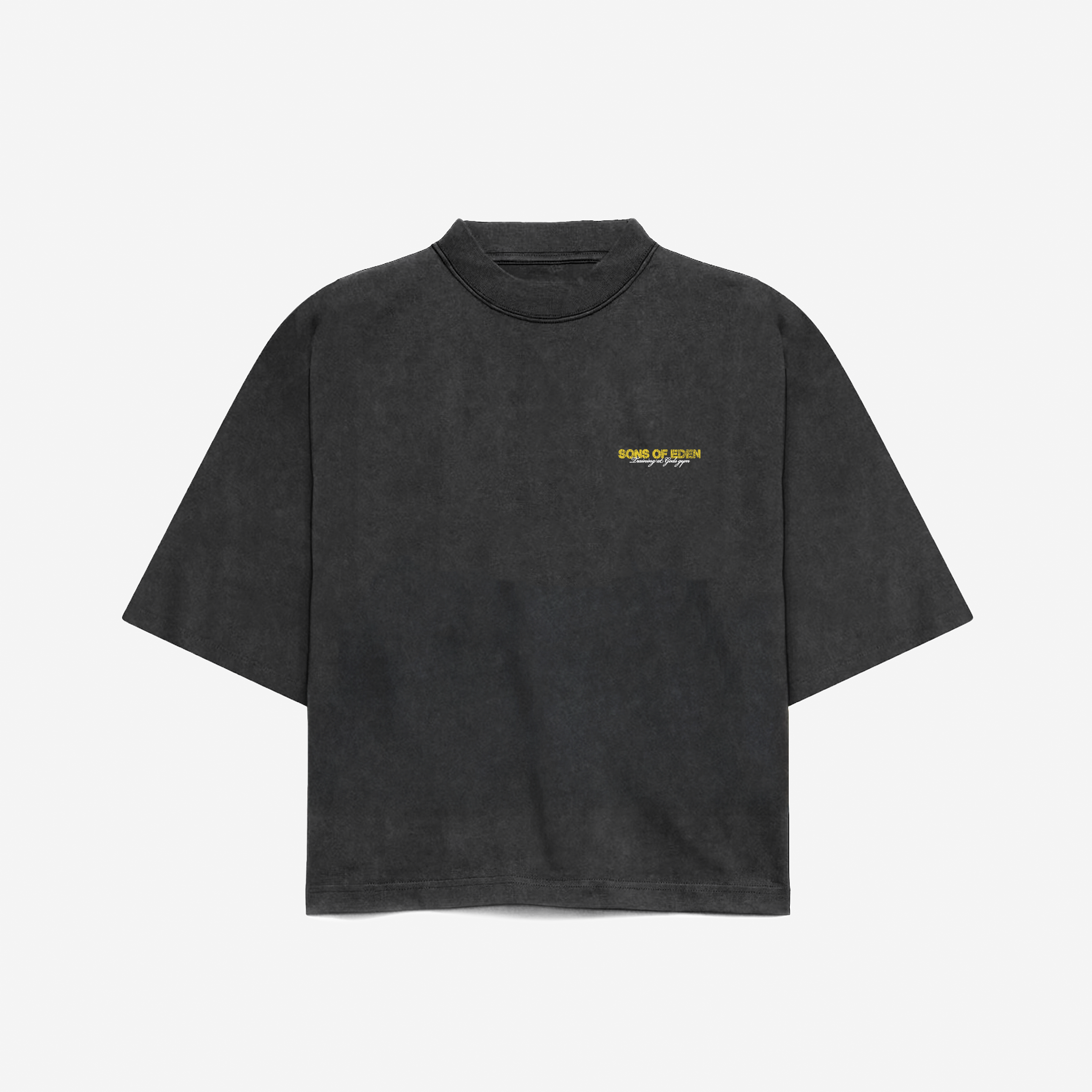 Training division vintage tee