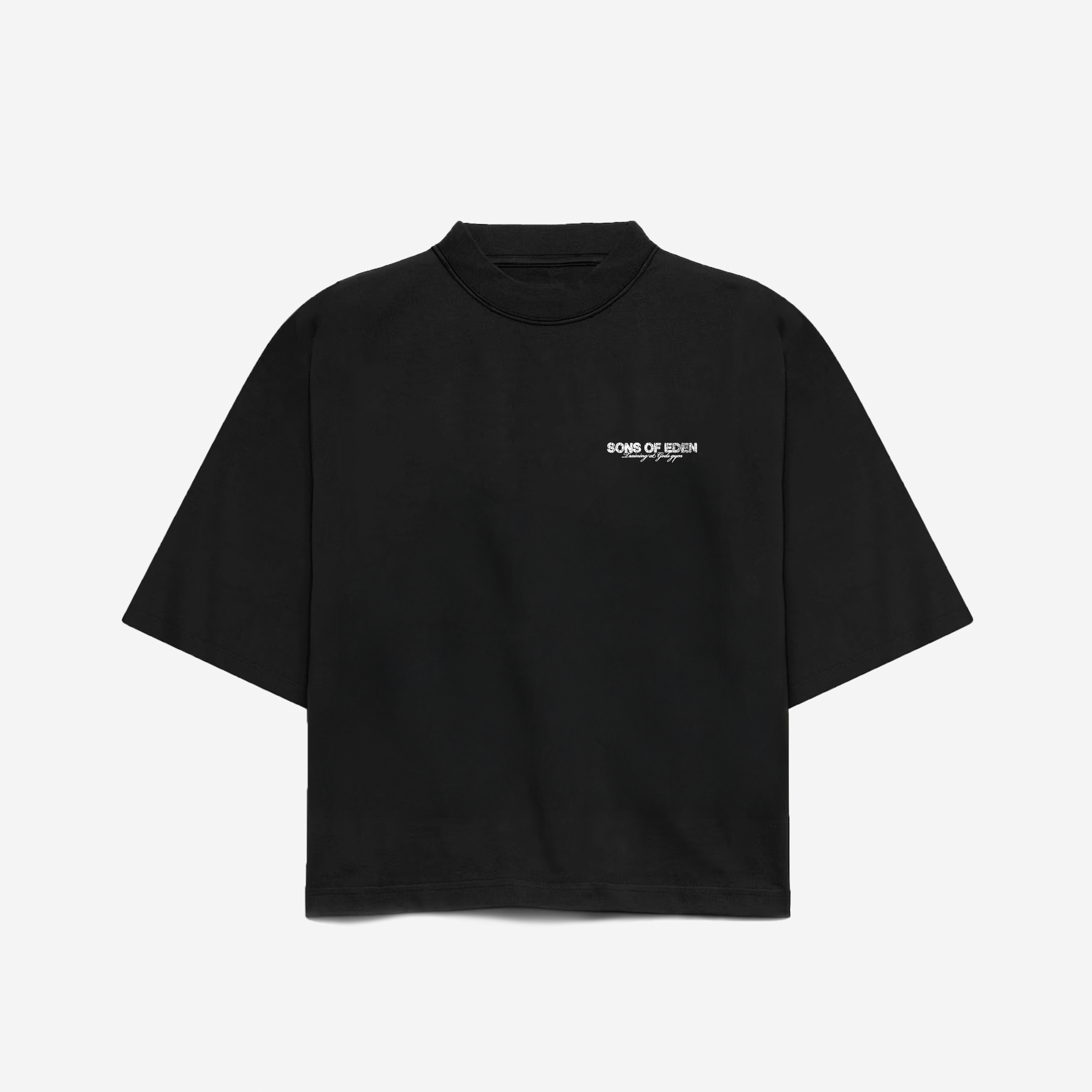 Training division black tee